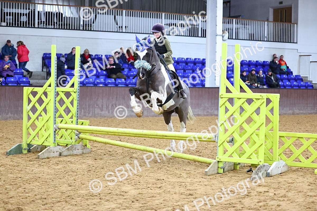 SBM_001248 - Class 3 - Christmas Tree Stakes - 60cm