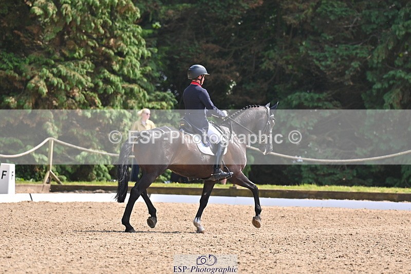 250523A-145648-07396 - B-365-Tom.McEwen-MAESTRO