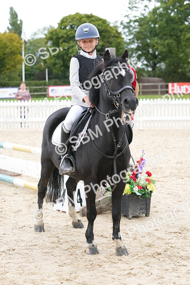 SBM_40877 - Supreme Championship Pony 50-55cm
