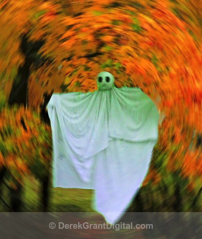 Halloween Ghost - Autumn Festival