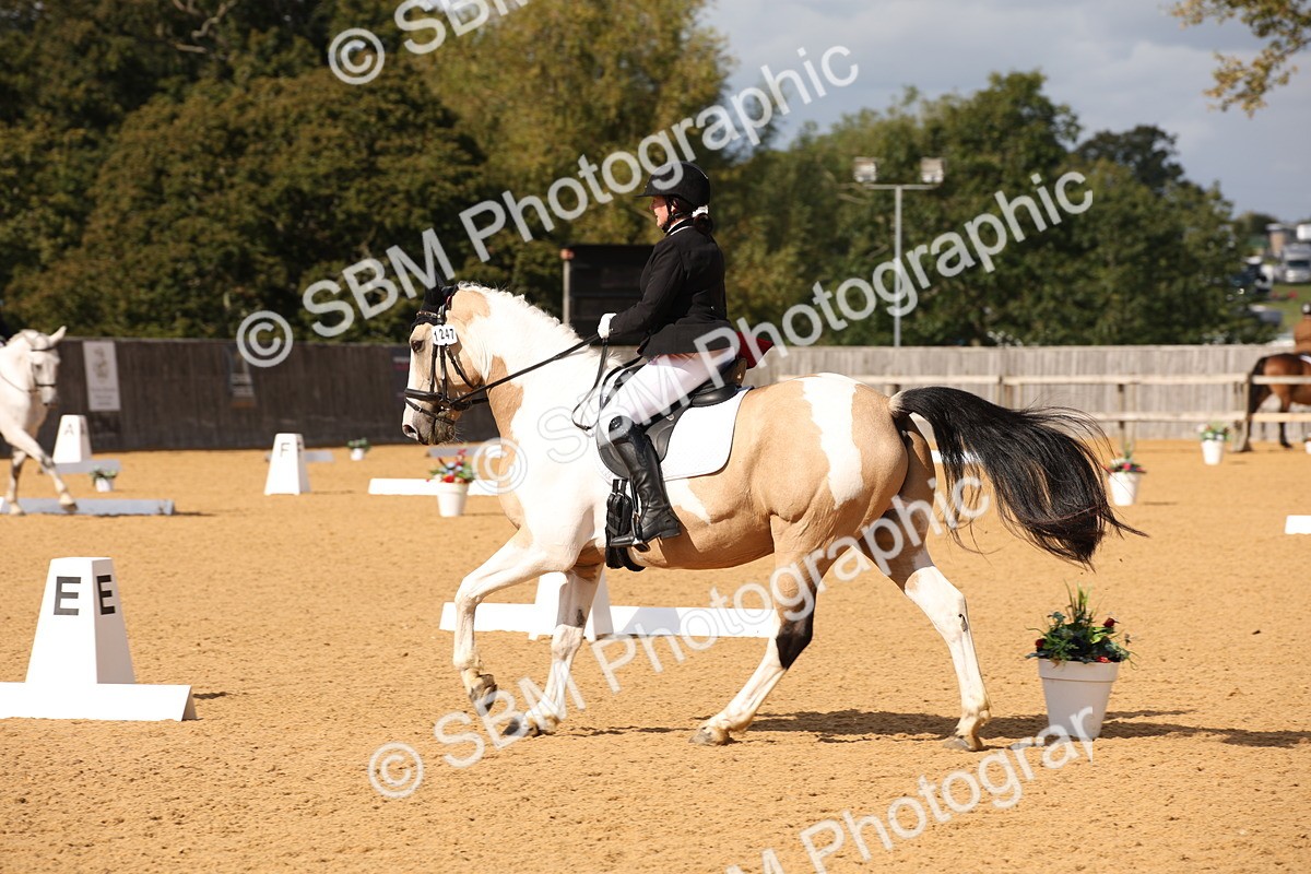 SBM_09032 - D8 Small Tour Championship Prelim 7
