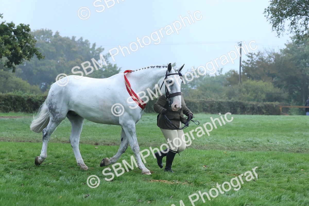 SBM_73242 - Super Supreme Championship(Sun)