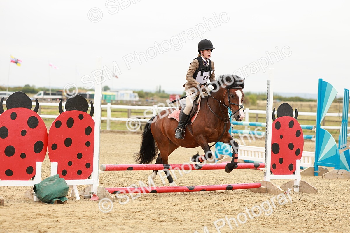 SBM_007310 - Class 2 - 50cm