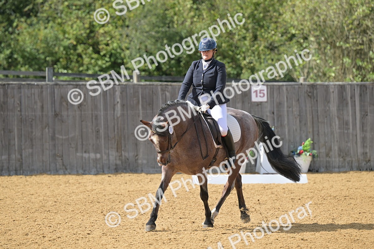 SBM_10910 - D3 - Small Tour Championship Intro 3