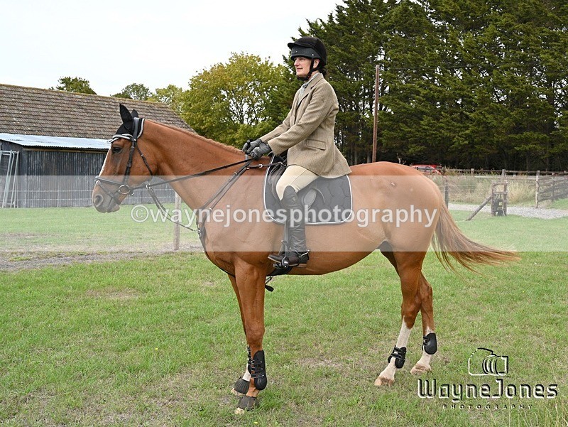 WJ7_0765 - Berks & Bucks Hound Exercise Blewbury 13-09-26
