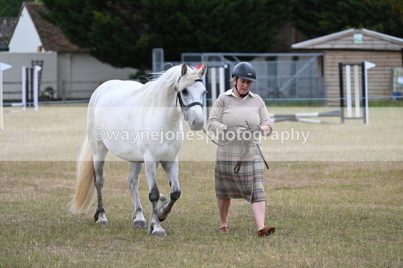 WJ7_9020 - Class 4a Prettiest Mare 14.2hh and over