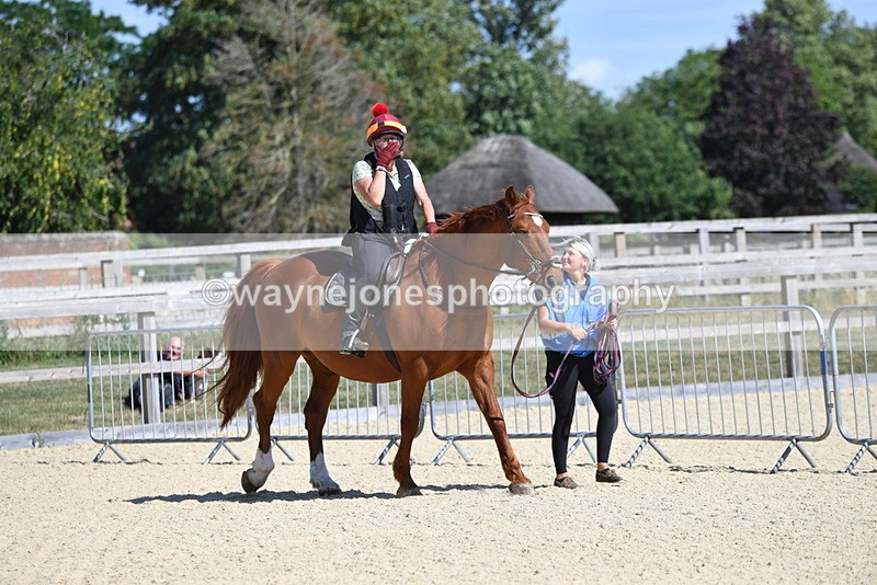 WJ5_4882 - Poles on the Floor