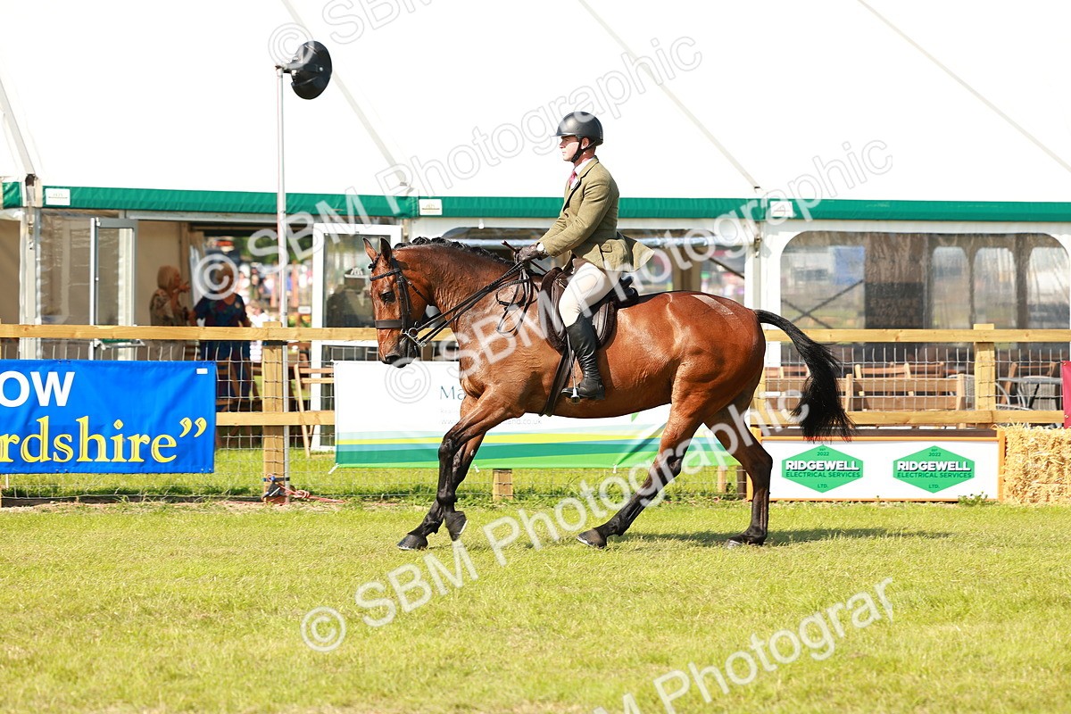 SBM_12067 - Class 66-69 - RIHS Ridden Hunters Inc Small Hunter