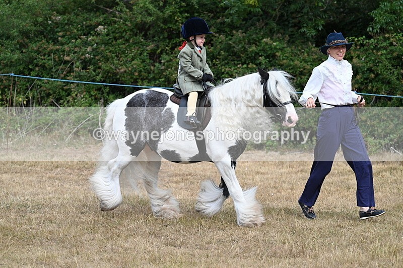 WJ7_6462 - Class 1 Lead Rein Pony