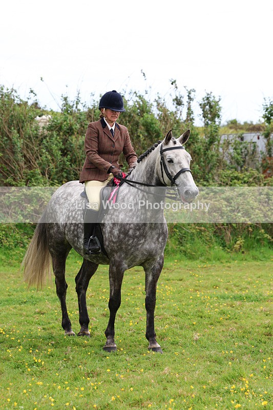 3E7A1385 - Class 7: Ridden Hunter Type