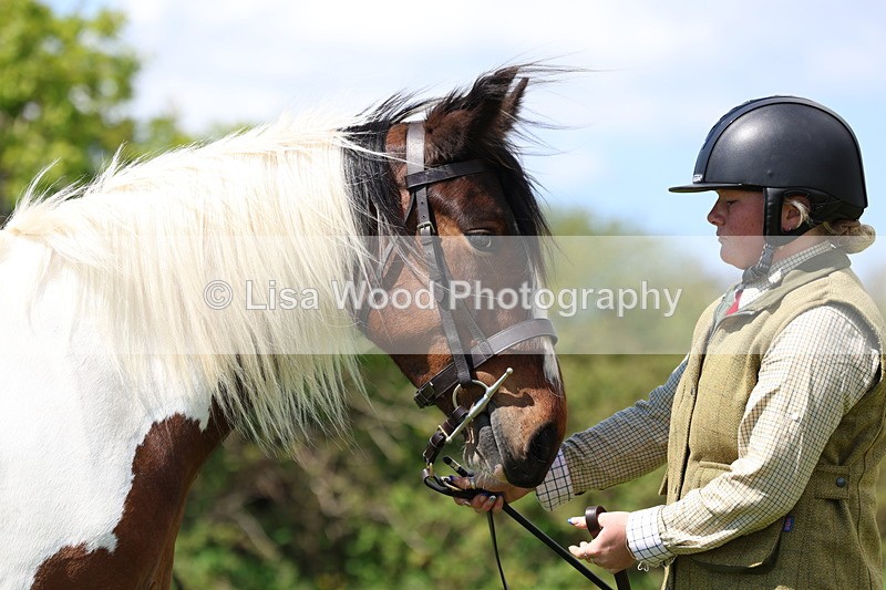 3E7A0377 - Class 19: Best Coloured in Hand