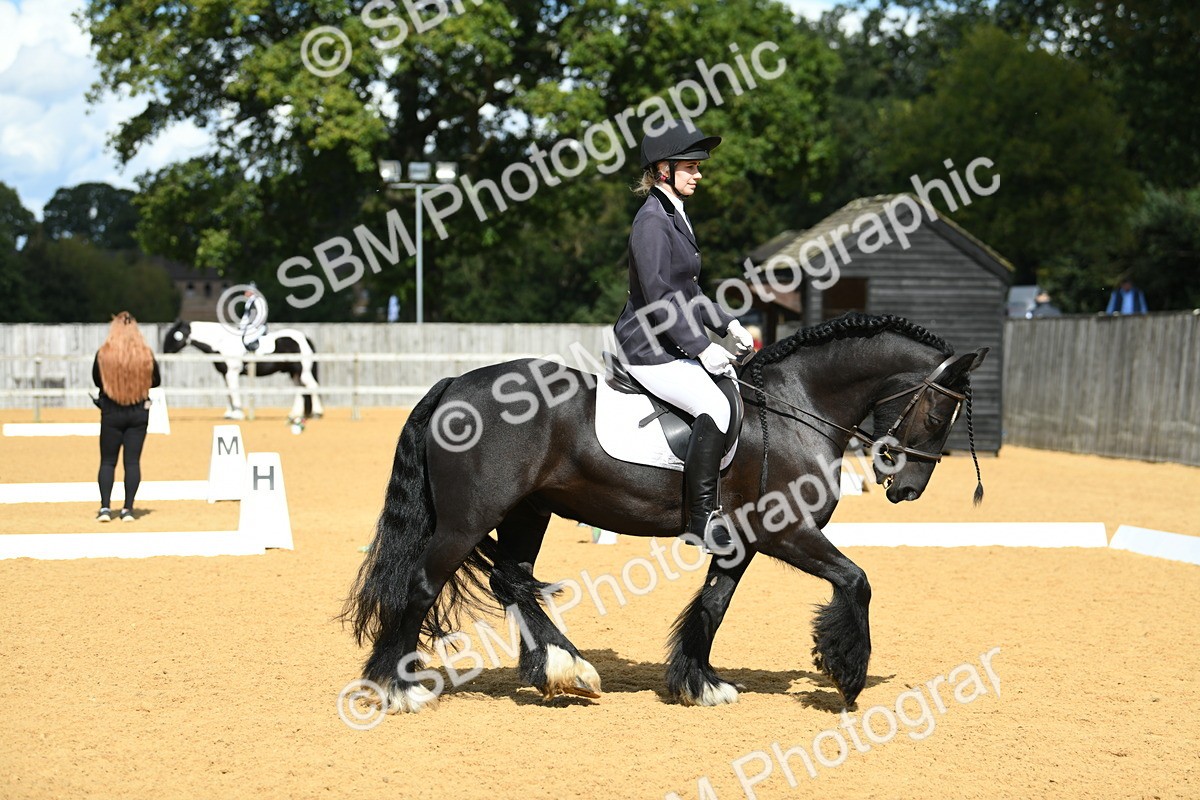 SBM_06592 - D15 Small Tour Championship Novice 24