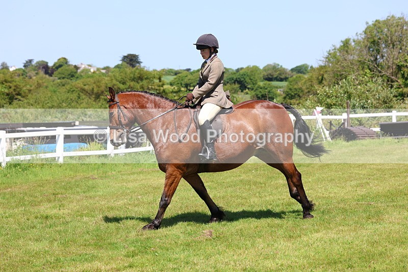 3E7A7239 - Class 30: Novice Working Hunter