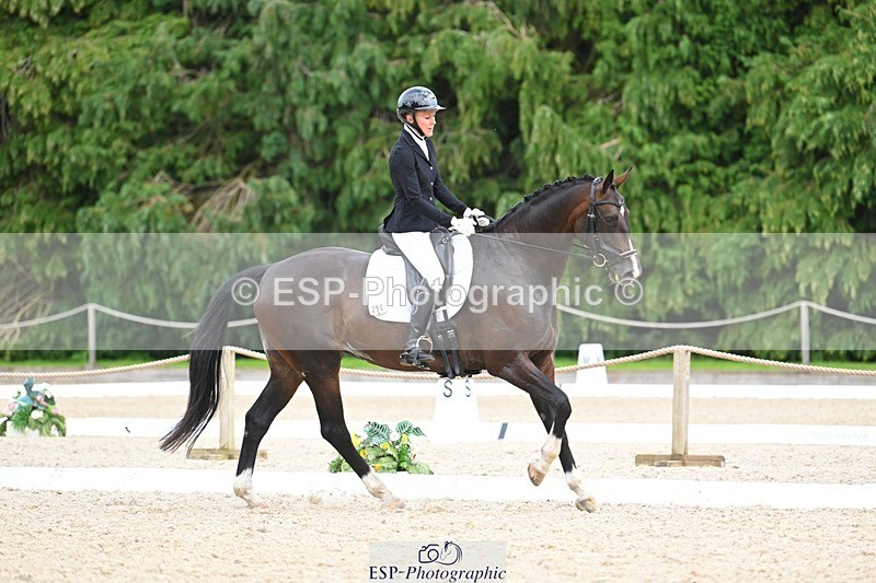 230813-125541-07187 - Cls 13 Medium Bronze Start to 13.00 break