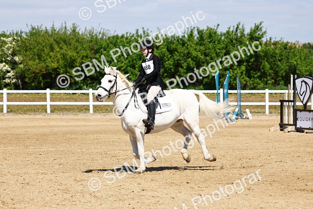 SBM_007648 - Class 3 - 60cm