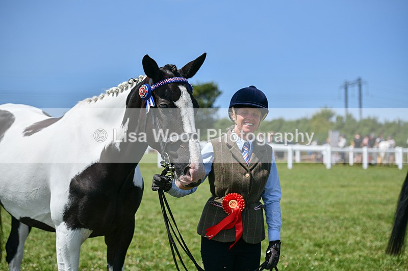 DSC_7879 - Class 65: Coloured Horse 4yrs & Over