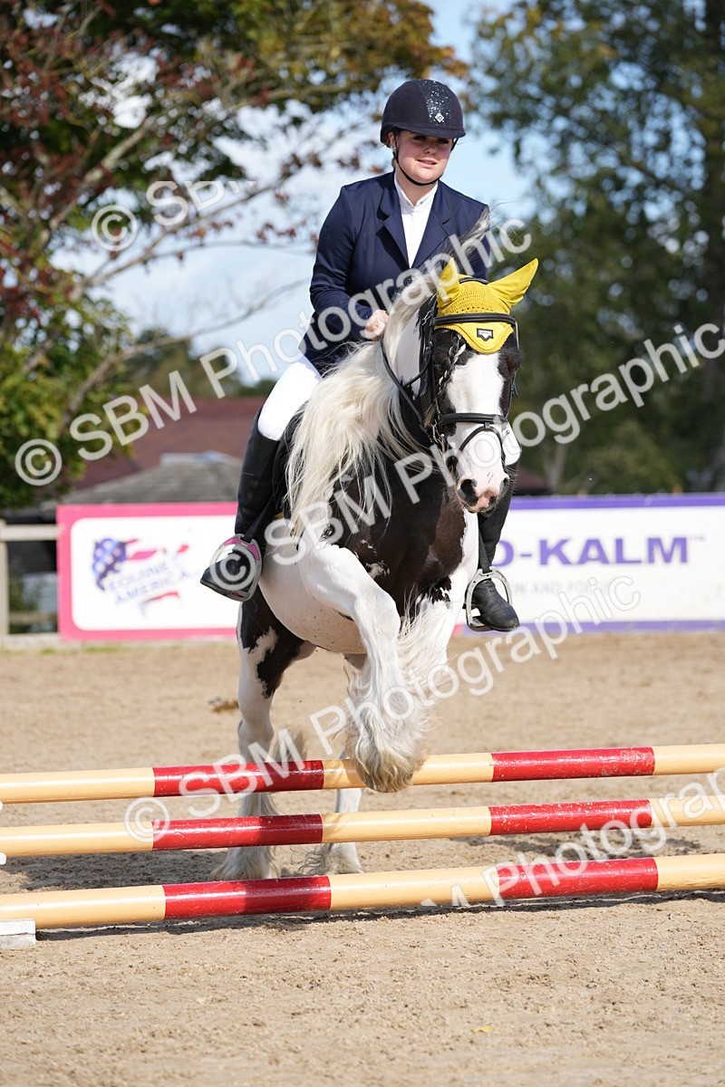 SBM_16897_J58 - Clear Round 50cm - Kelly