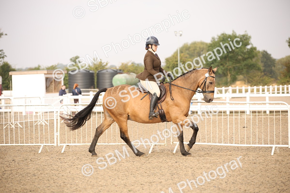 SBM_10208 - Class 402 Riding Club Horse