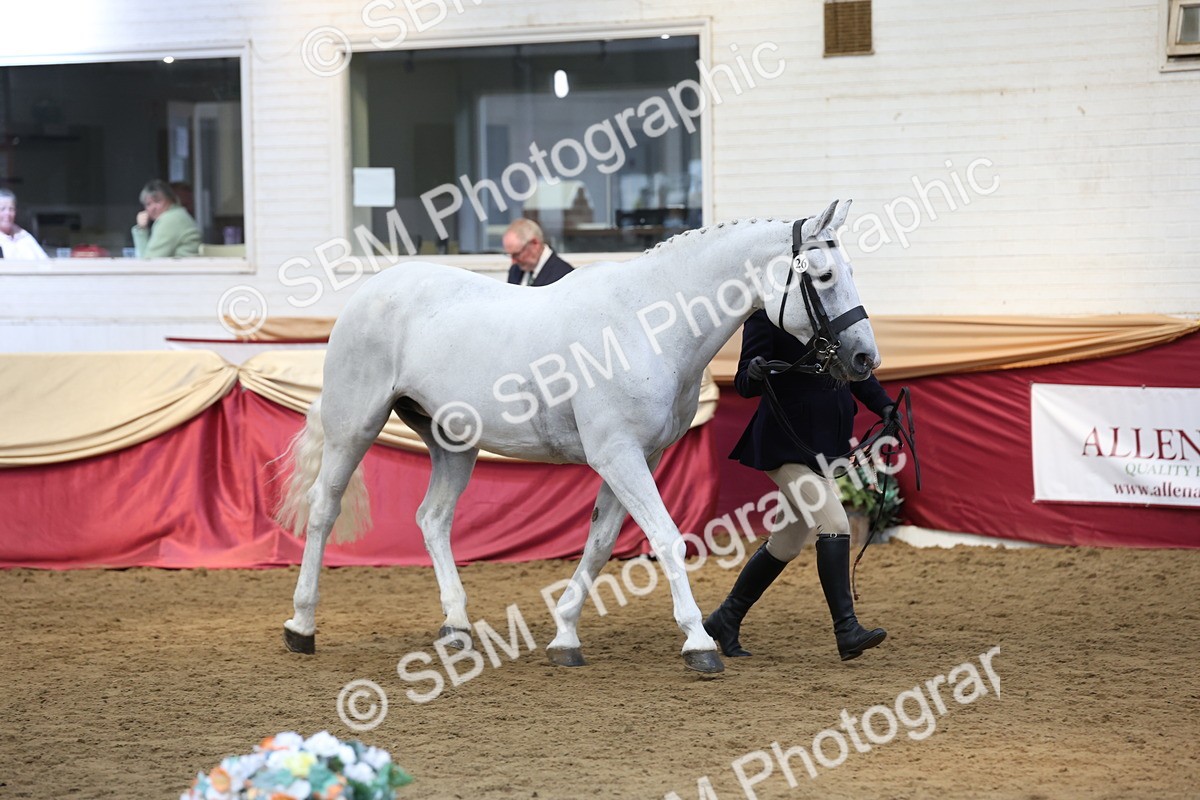 SBM_23584 - Class 904 - Supreme Final - Ridden Diamond