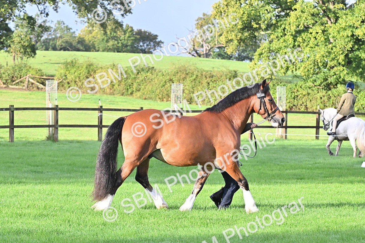 SBM_32616 - S15 - Top Turnout In Hand