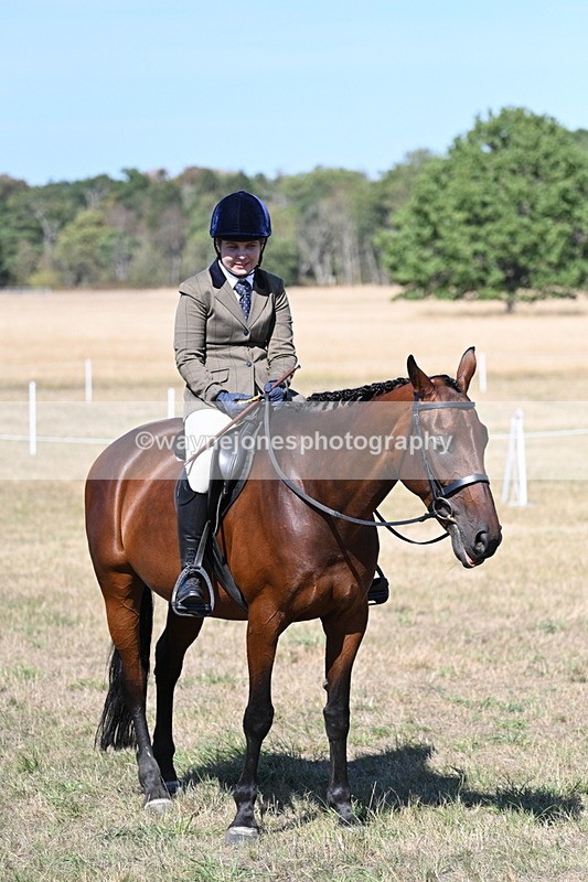 WJ7_1341 - Class 41 Prettiest Mare