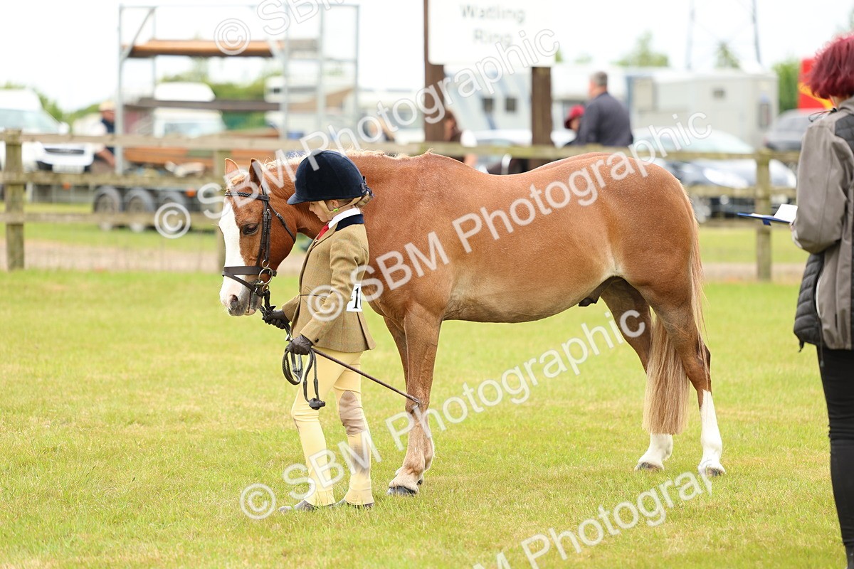 SBM_10260 - Class 44-45 - LIHS BSPS Open Nursery and Cradle Stakes