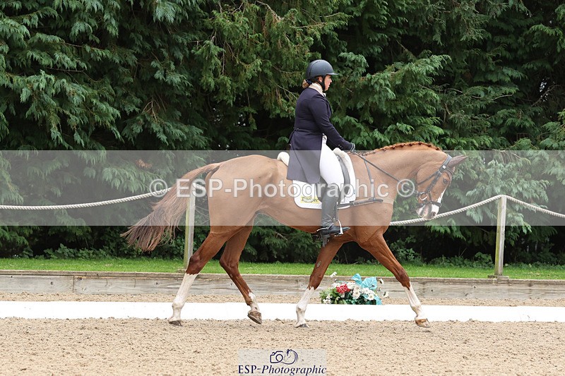 241024-150920-04756 - 230-Harriet.Dickin-PULL.YA.SOCKS.UP