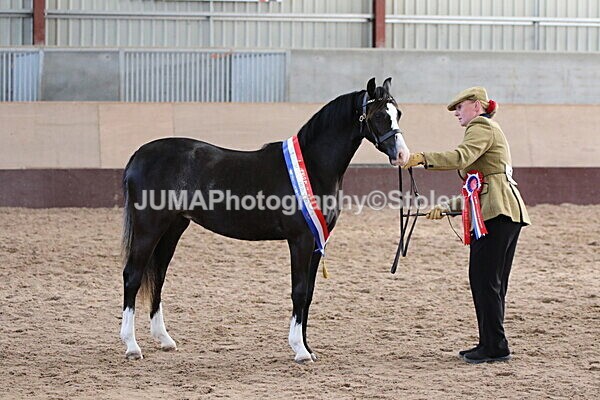 SIAL0421 - Indoor Classes