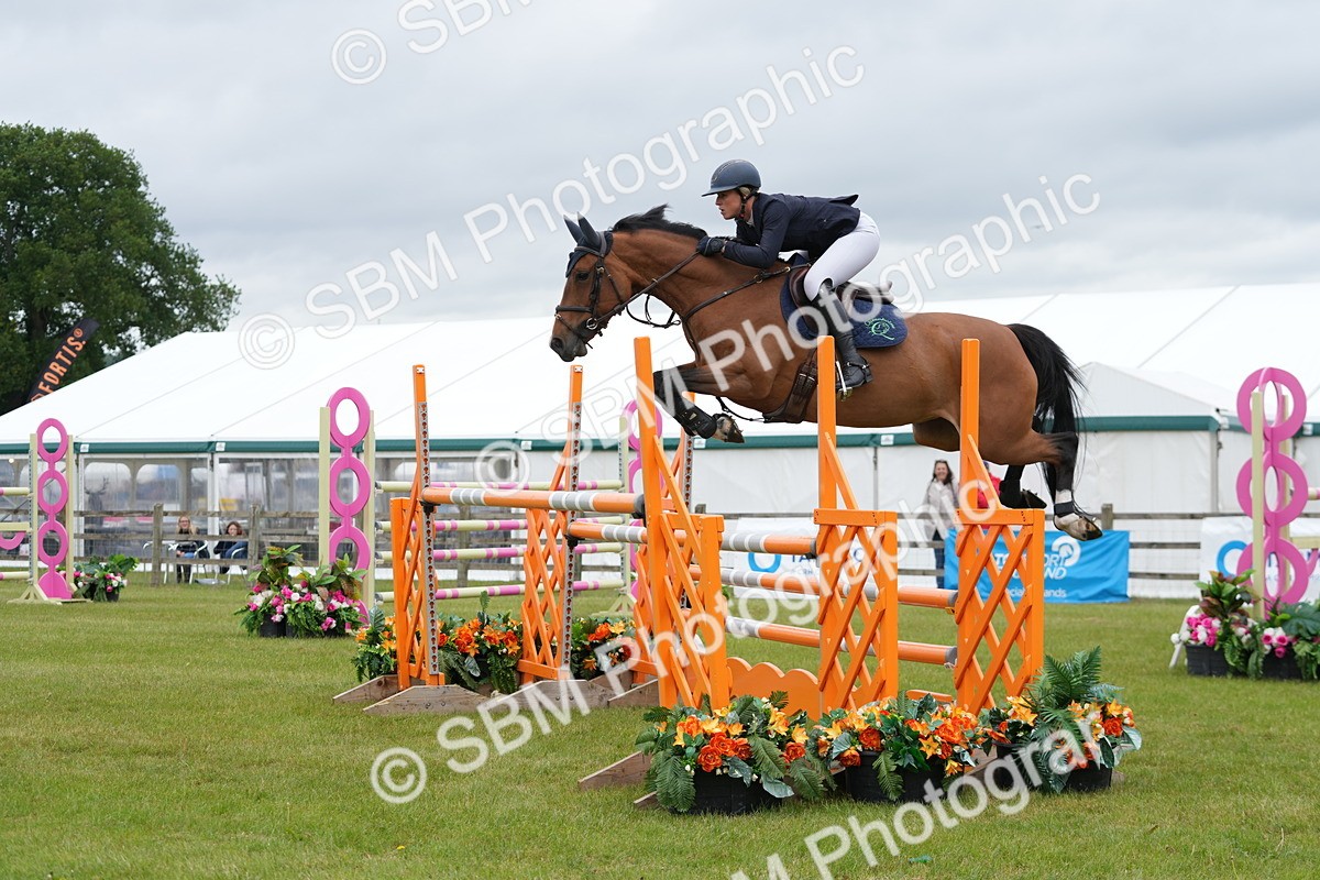 SBM_03456 - Class 201 - British Horse Feeds Speedi Beet Horse of the Year Show Grade  C