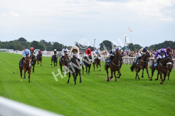 yr04092022r7-24 - Race 7 5.15pm Firmament Stakes