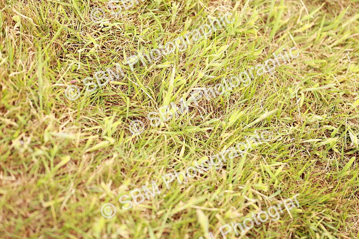 SBM_04756 - Class 5-8 - BSPA In hand