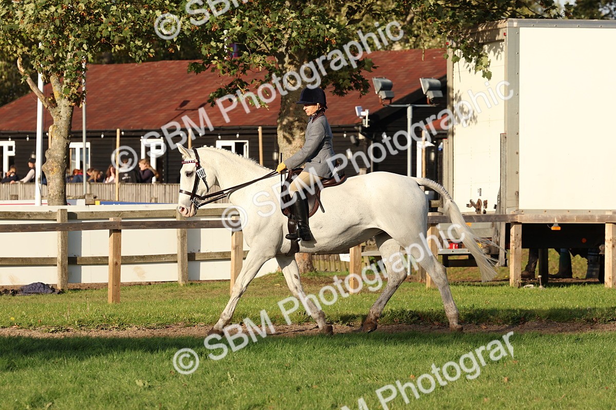 SBM_53050 - S29 - Mature Veteran Ridden