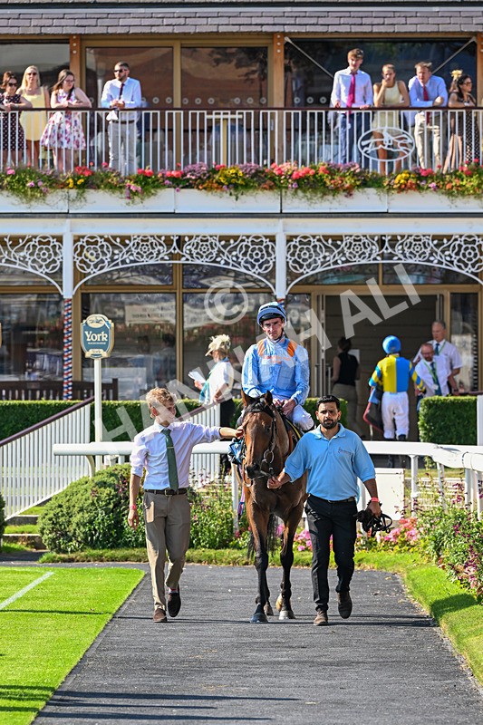 100726-Race 6-Ziggys Triton-0708 - Race 6 17.05pm William Hill Keep Your Raceday Positive Handicap