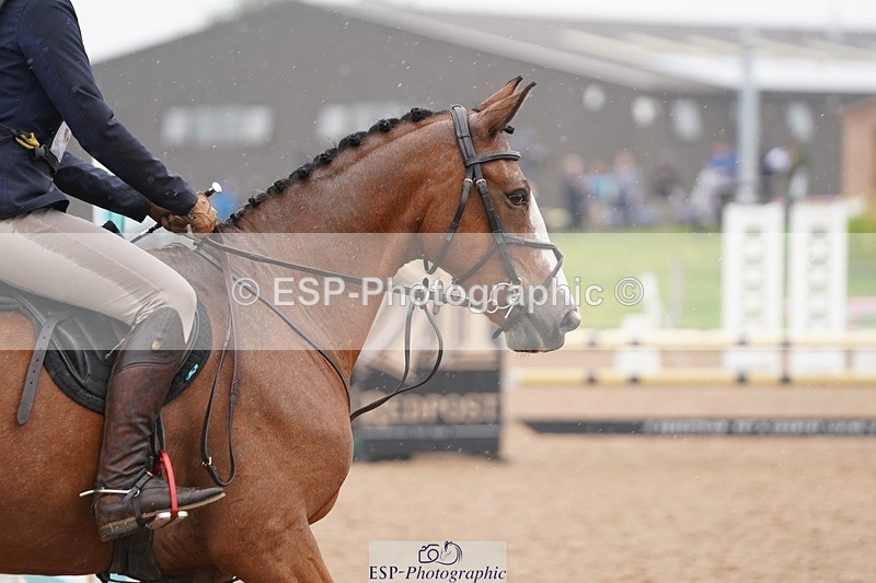 240901A-145836-10211 - 519-Lauren.Collard-DVS.ROCKY