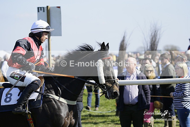 PtP 200322 18 - Mendip Farmers Point-to-Point 20/03/22