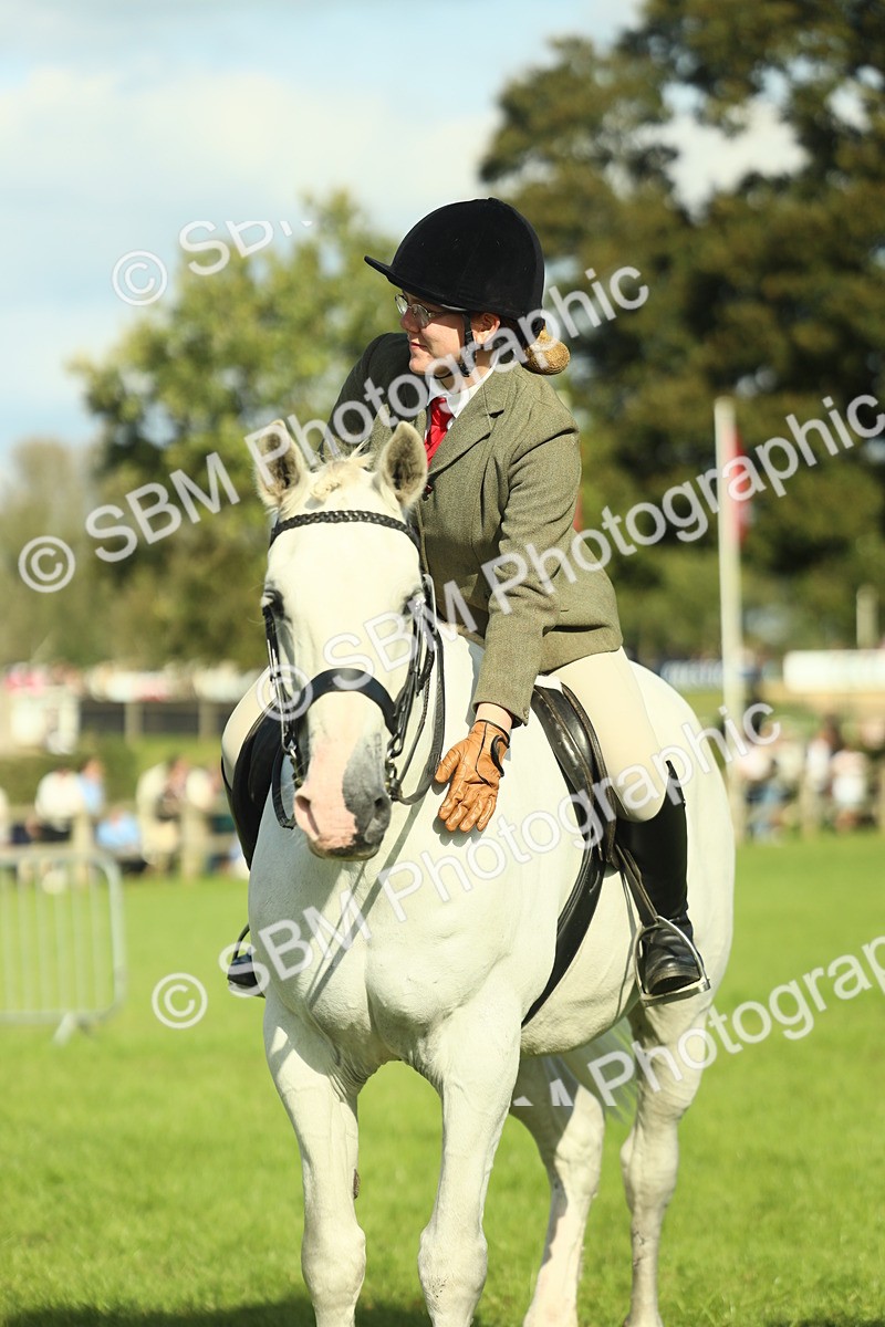 SBM_49912 - S32 - Novice & Newcomers Working Hunter