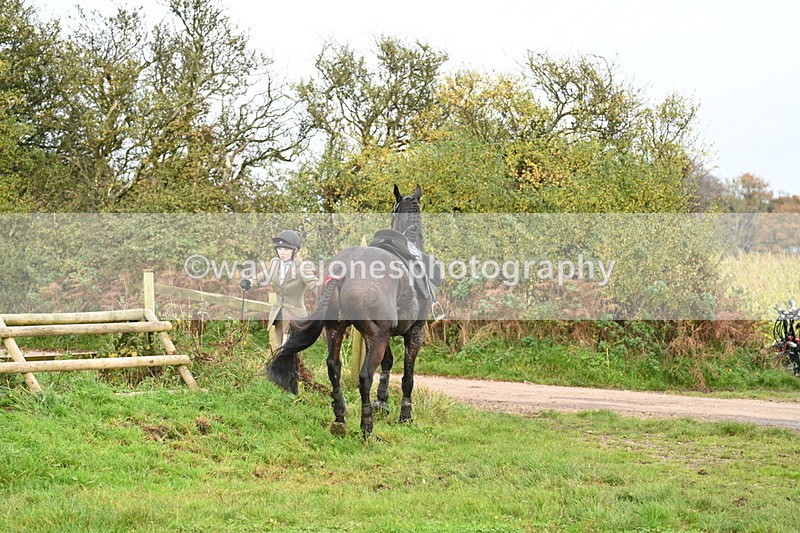 WJ7_0442 - Camera 1 & Last fence