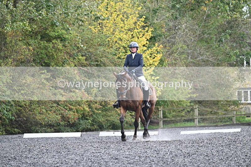 WJ7_6175 - Time 14:10 to 14:45