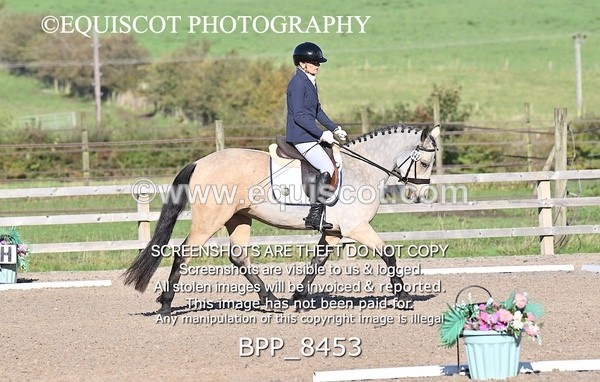 BPP_8453 - SHORT ARENA INTRO 1
