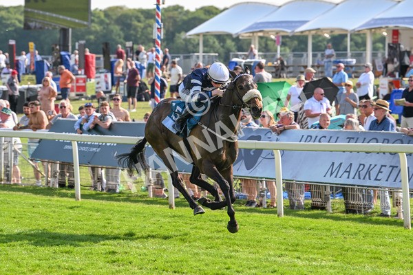 130625-Race 7-Dawn Of Liberation-0169 - Race 7 5.20pm Irish Thoroughbred Marketing Handicap