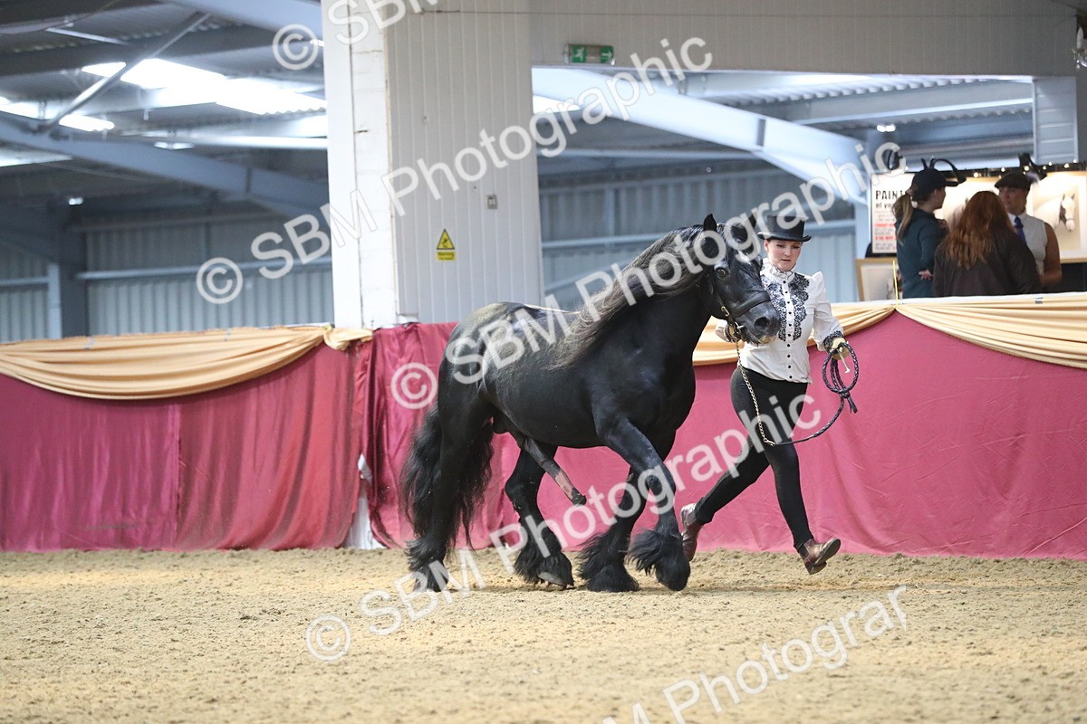 SBM_15162 - Class 501 M&M IH Supreme Final