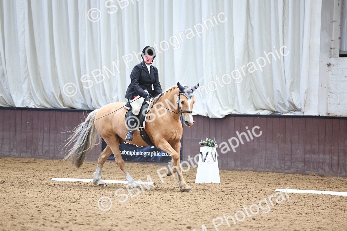 SBM_005396 - Class 3 - Novice 5