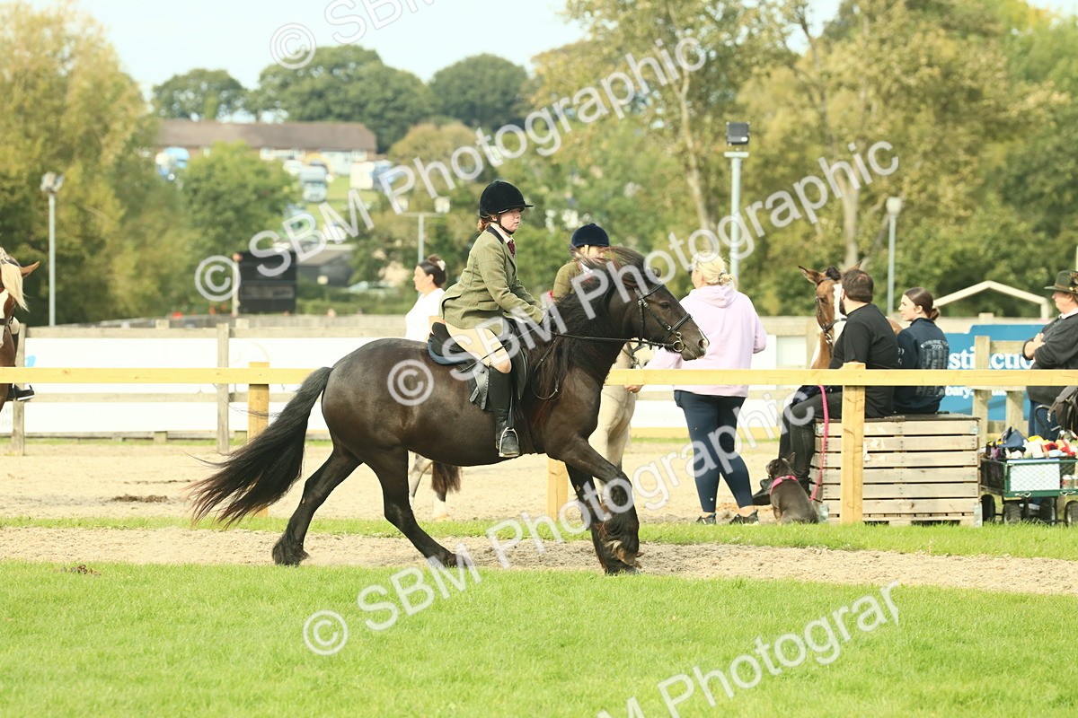 SBM_69352 - S58 - Mini Show Cob Ridden