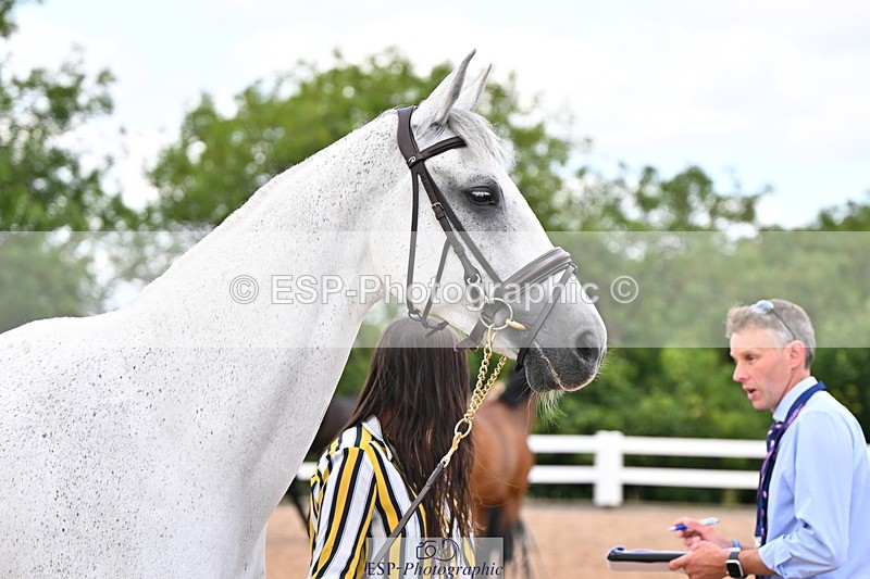 240718A-105325-01973 - Trot Up 2pm to 3pm - This folder is not in time order
