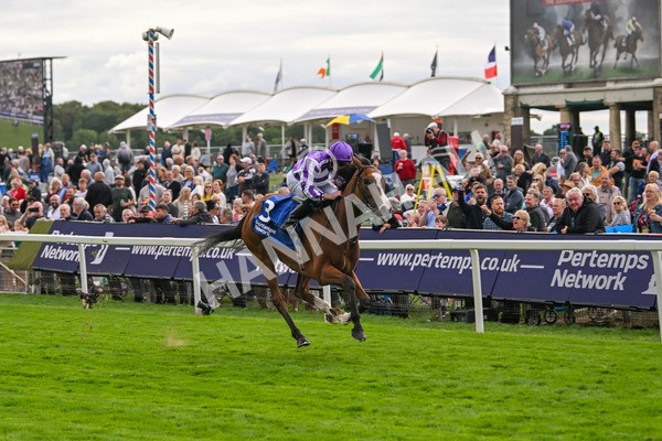210825-Race 4-Minnie Hauk-4710 - Race 4 3.35pm Pertemps Network Yorkshire Oaks
