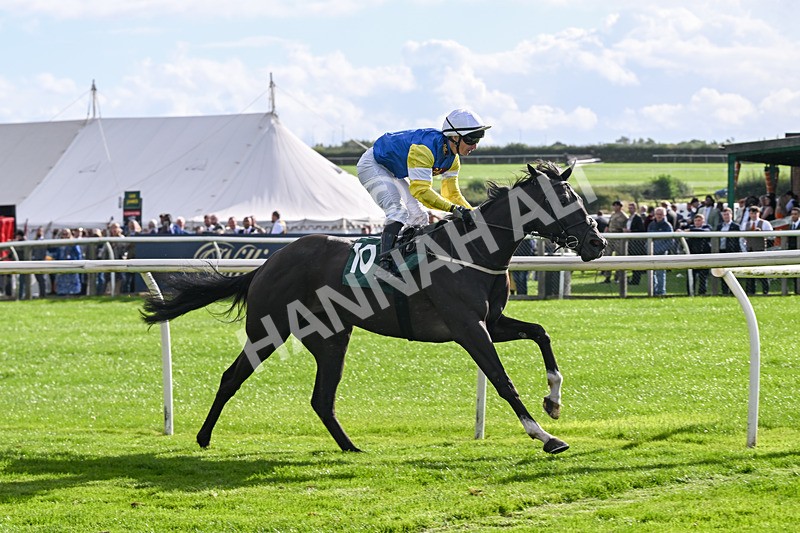 080926-Race 5-Lope Y Linda-2727 - Race 5 4.11pm Every Race Live On Racing TV Handicap