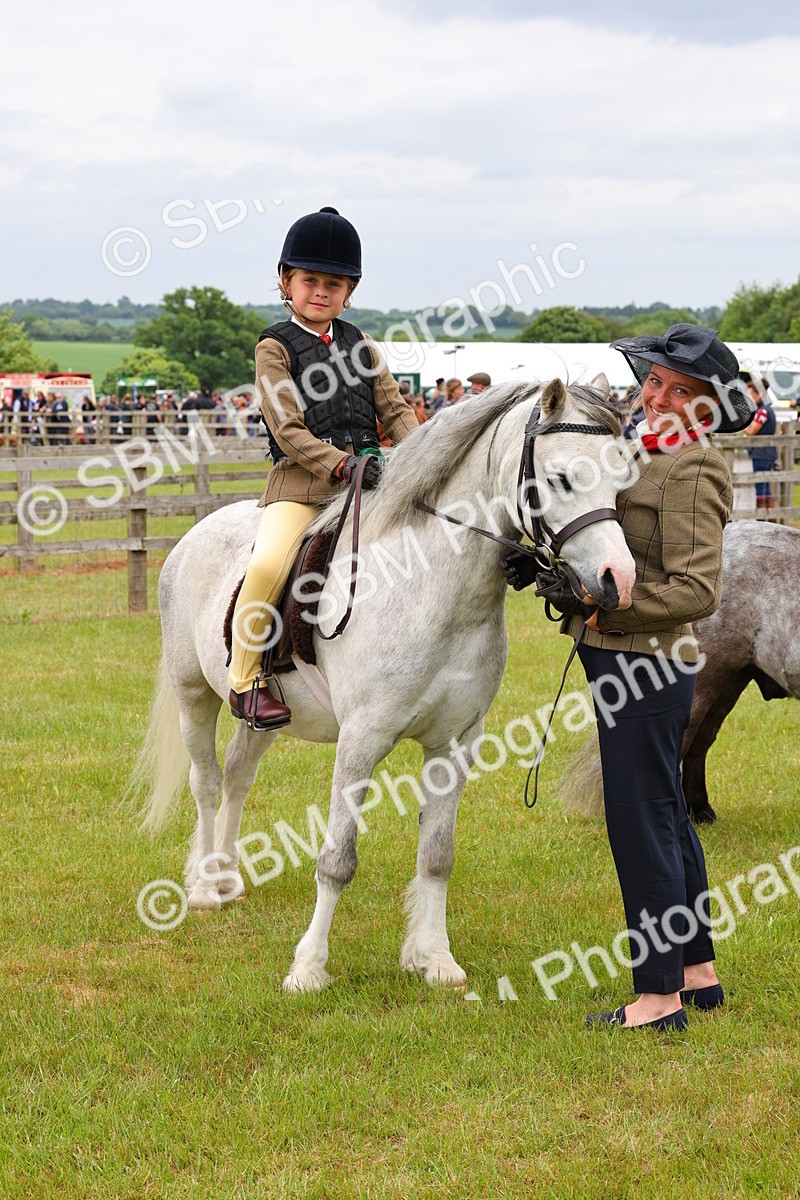 SBM_08376 - Class 42-43 - LIHS BSPS Heritage Working Sports Pony