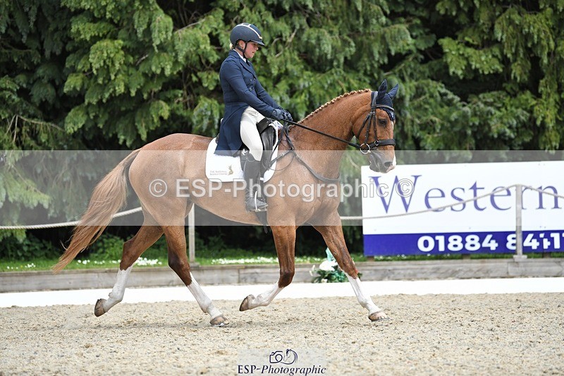 230525-151802-03220 - 308-NEFFECT_S-Kat_Raybould-WEDTrotUp+DR