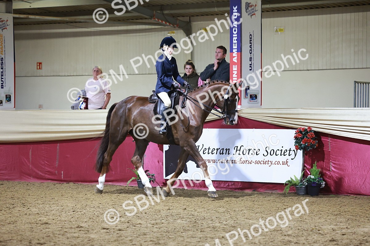 SBM_21554 - Class V - Champion of Champions