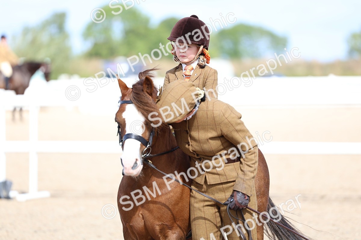 SBM_13109 - Class 309 - Lead Rein Pony